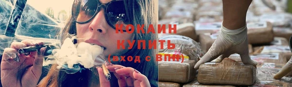 крисы Белоозёрский