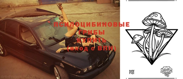 крисы Белоозёрский