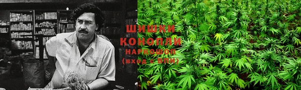 2c-b Беломорск
