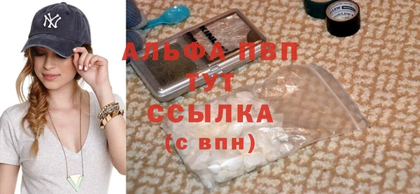 ешки Белокуриха