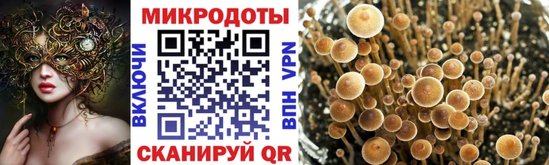 Галлюциногенные грибы прущие грибы  Кондрово 