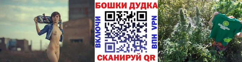 Бошки Шишки конопля Кондрово